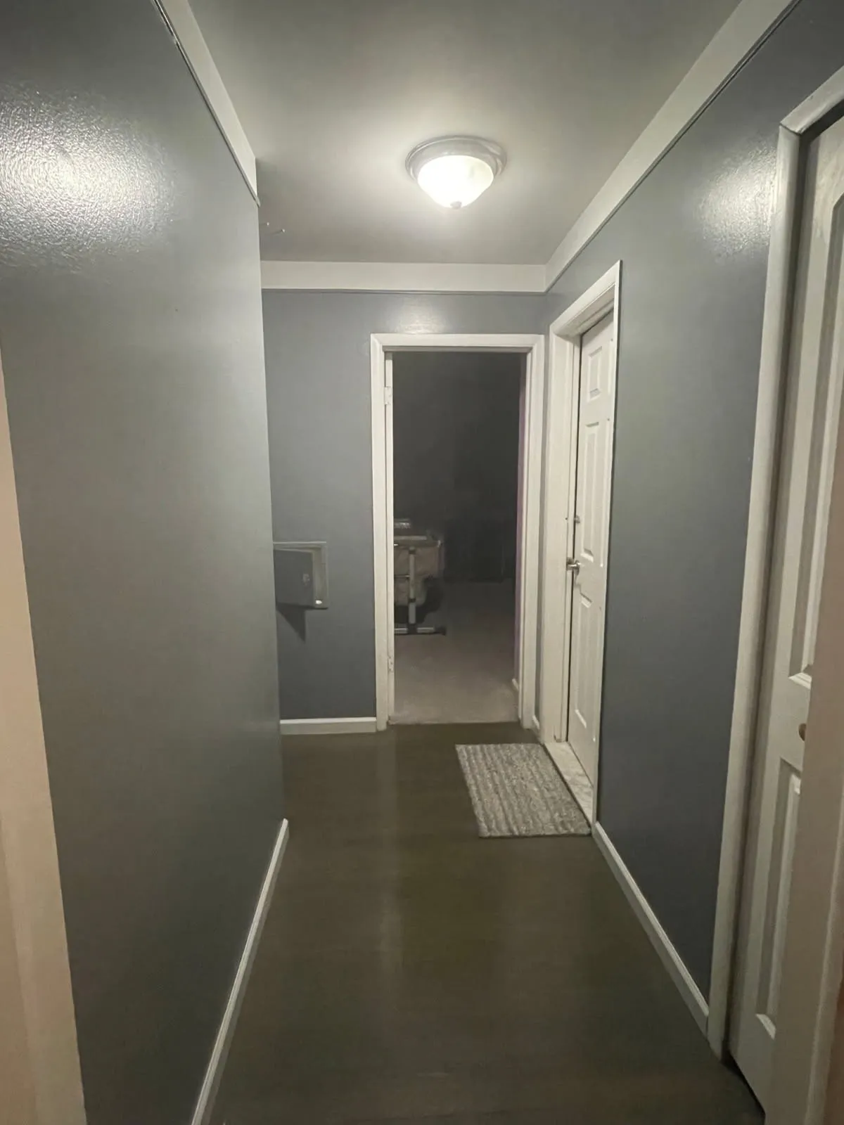 Hallway painting