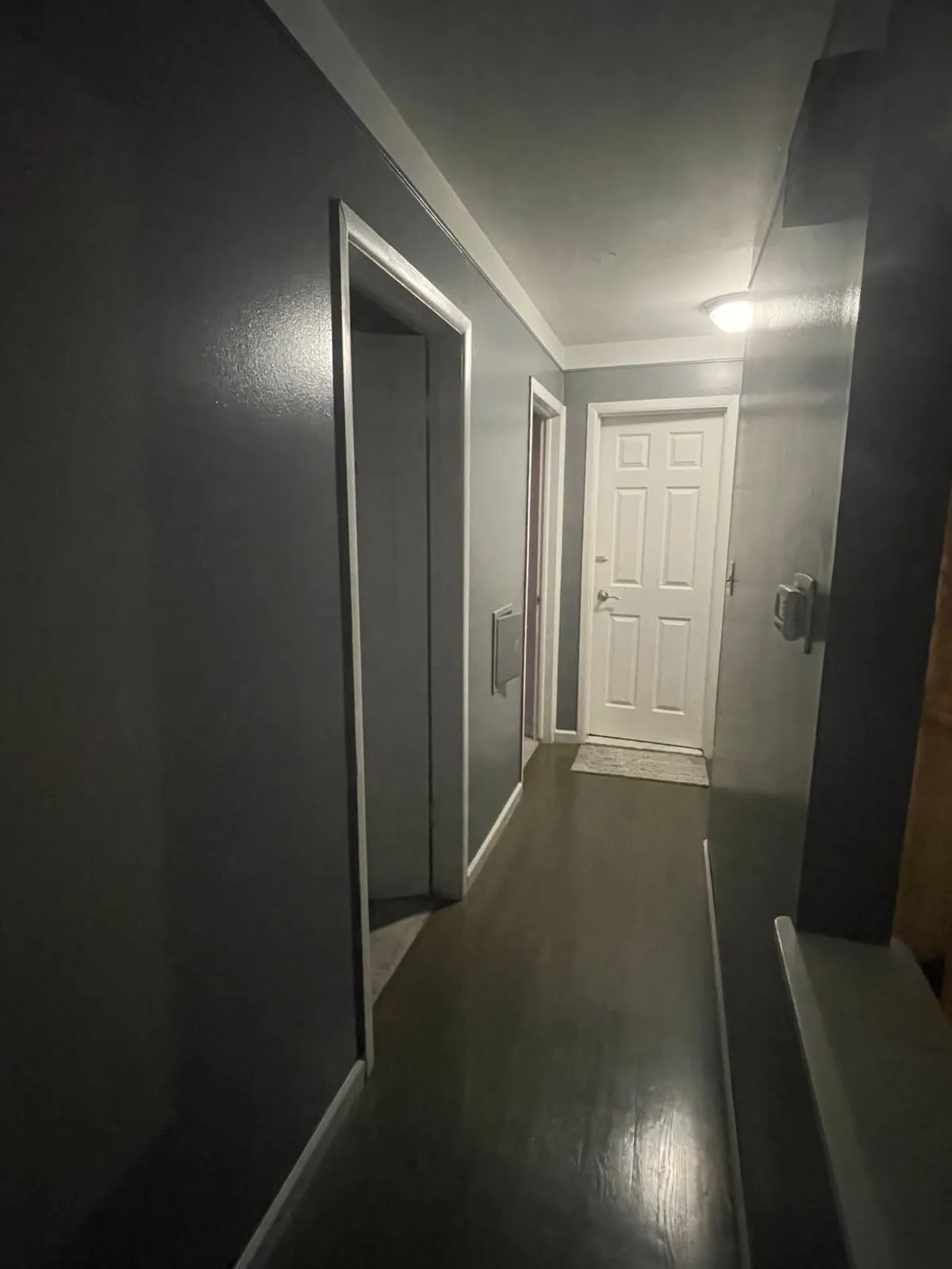Hallway painting